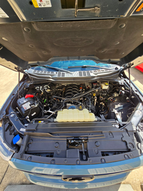 PRE ORDER 2018+ F-150 NA Carbon Fiber Ram Air Kit
